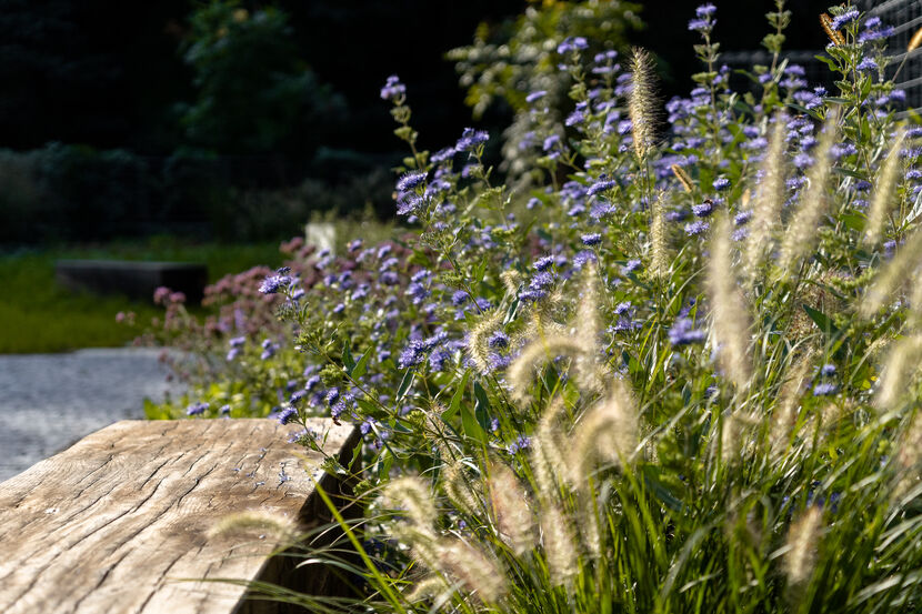 Přírodě dáváme prostor