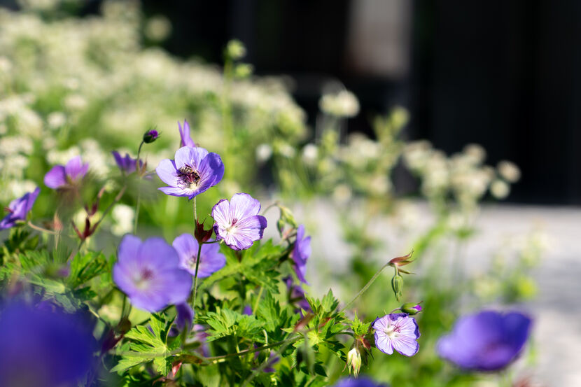 Podporujeme udržitelný přístup